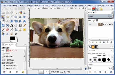 最も人気のある Gimp 切り抜き